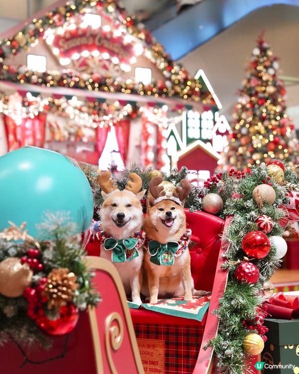 🎄勁靚！必去！聖誕夢幻小鎮🎅🏻