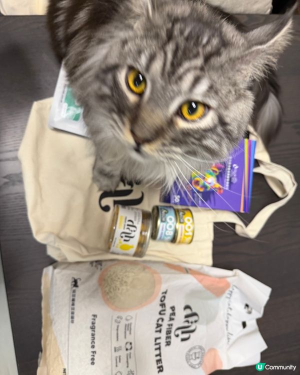 Yeah! 多謝Ulifestyle 🤩😼