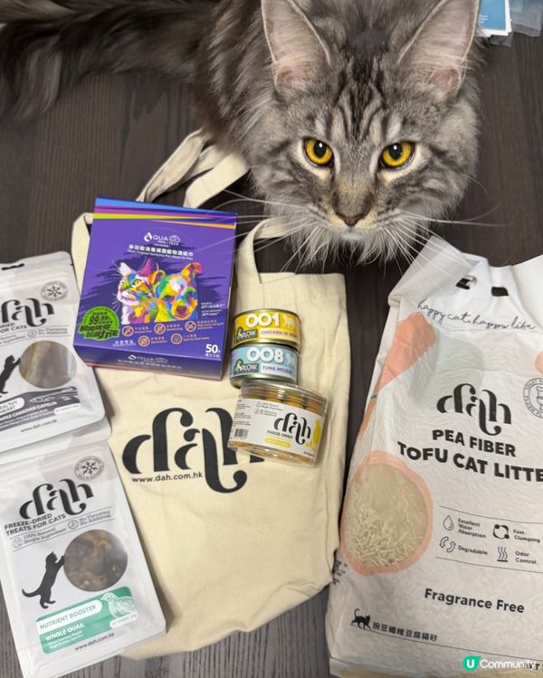 Yeah! 多謝Ulifestyle 🤩😼