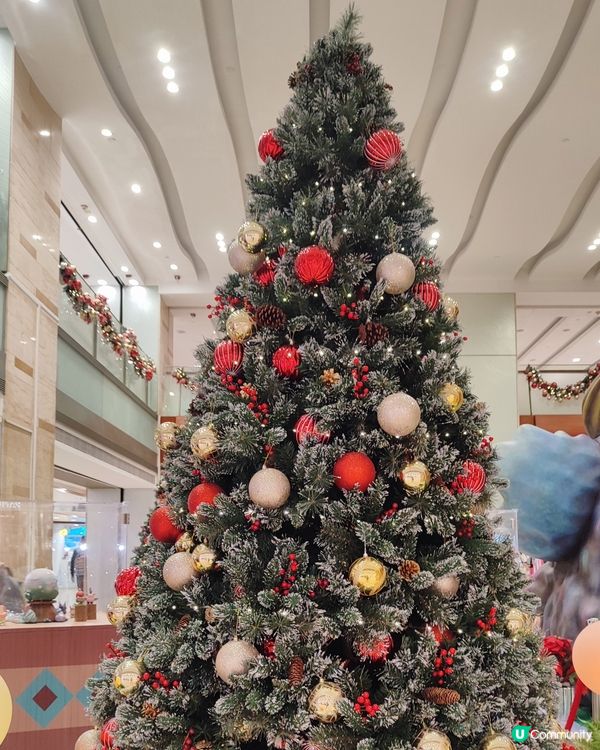 🌲德福聖誕奇幻森林🌲！打卡影靚相📸！