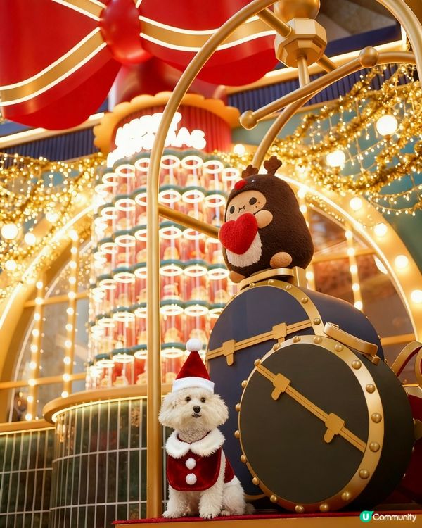 蠢蠢帶大家睇朗豪坊薯仔🥔