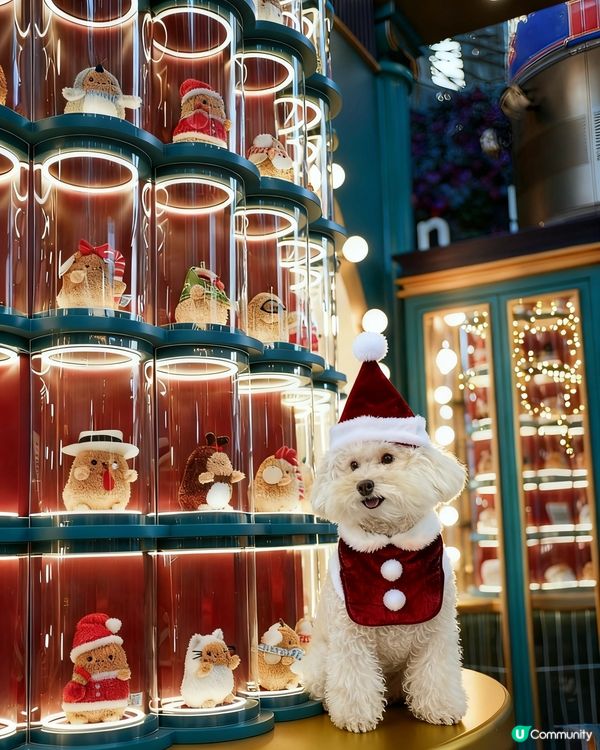 蠢蠢帶大家睇朗豪坊薯仔🥔