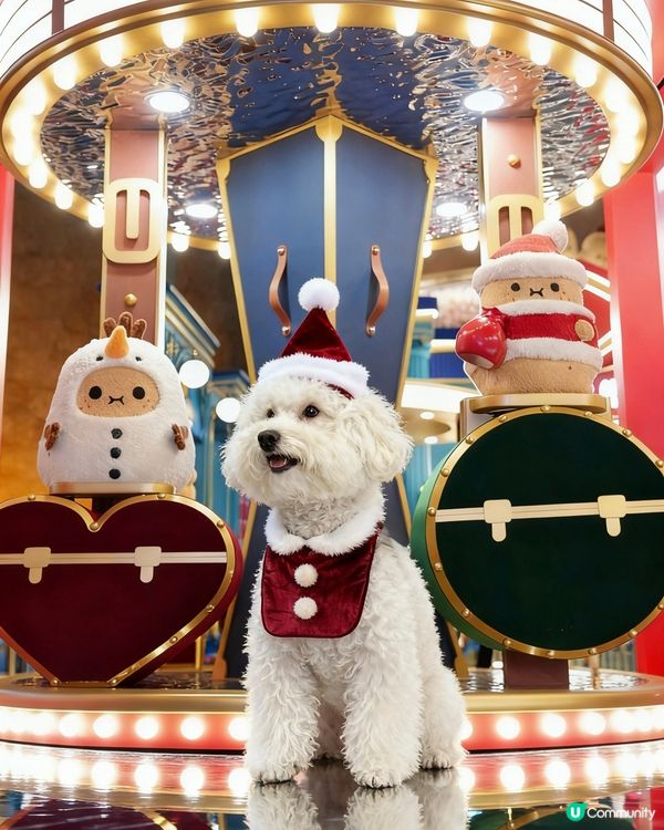 蠢蠢帶大家睇朗豪坊薯仔🥔