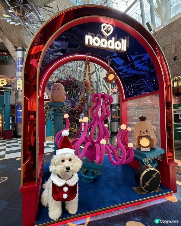 蠢蠢帶大家睇朗豪坊薯仔🥔