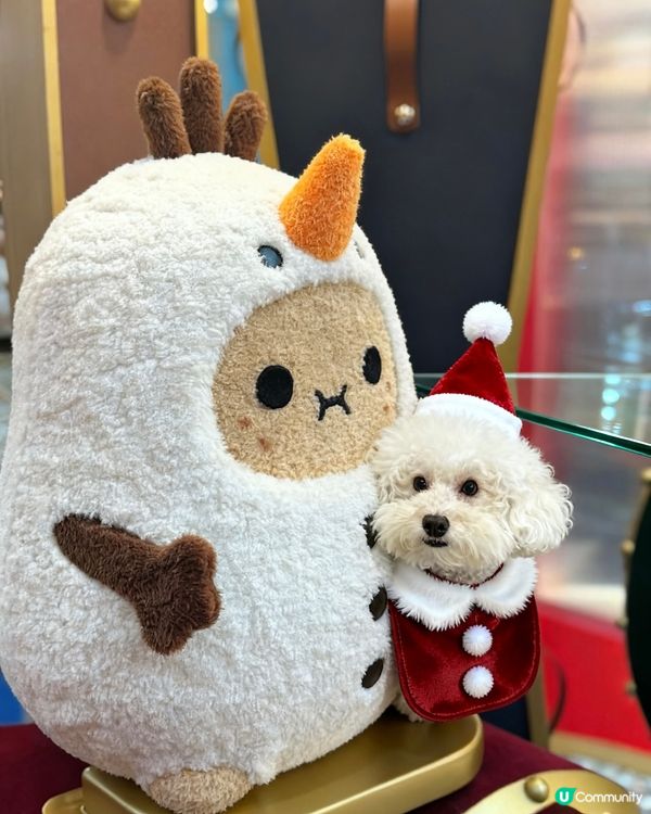 蠢蠢帶大家睇朗豪坊薯仔🥔