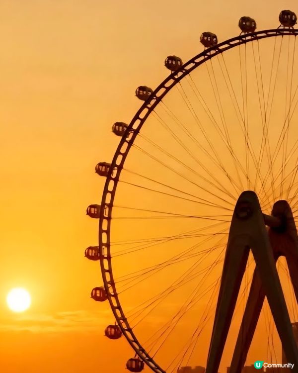 浪漫生命燈塔🥰