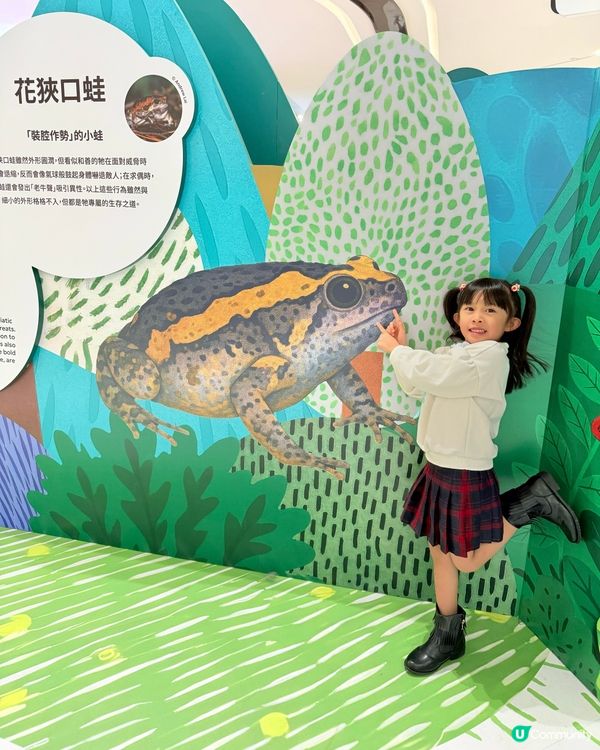 ｢怪奇百態｣怪奇生態創意展