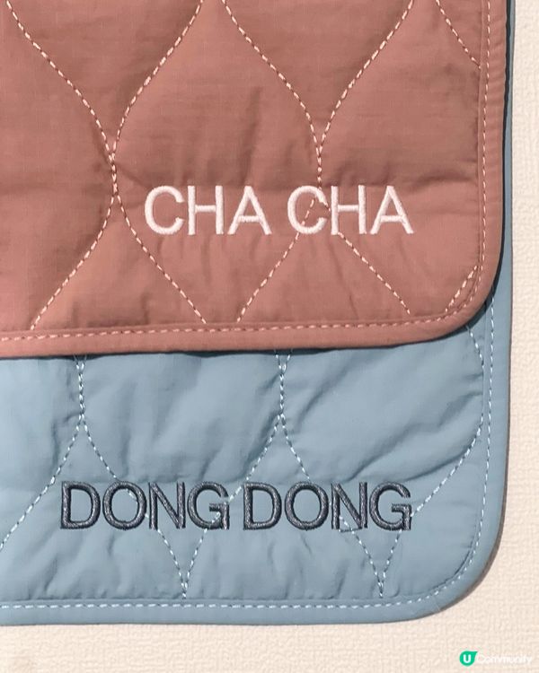 寵物禮貌墊推介