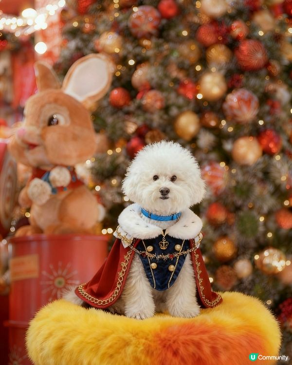 蠢蠢帶大家到糖果🍬屋💗( ᵘ ᵕ ᵘ ⁎)