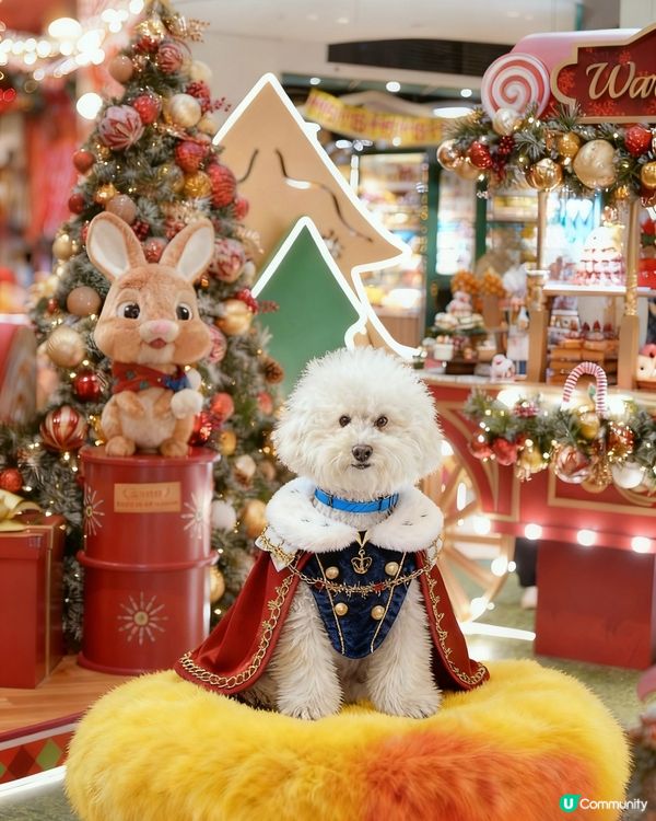 蠢蠢帶大家到糖果🍬屋💗( ᵘ ᵕ ᵘ ⁎)