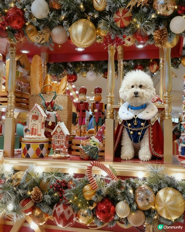 蠢蠢帶大家到糖果🍬屋💗( ᵘ ᵕ ᵘ ⁎)