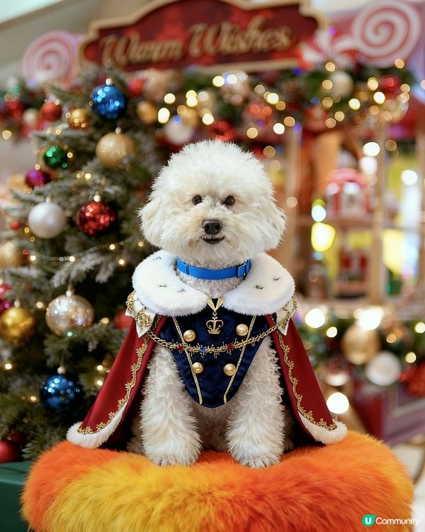 蠢蠢帶大家到糖果🍬屋💗( ᵘ ᵕ ᵘ ⁎)