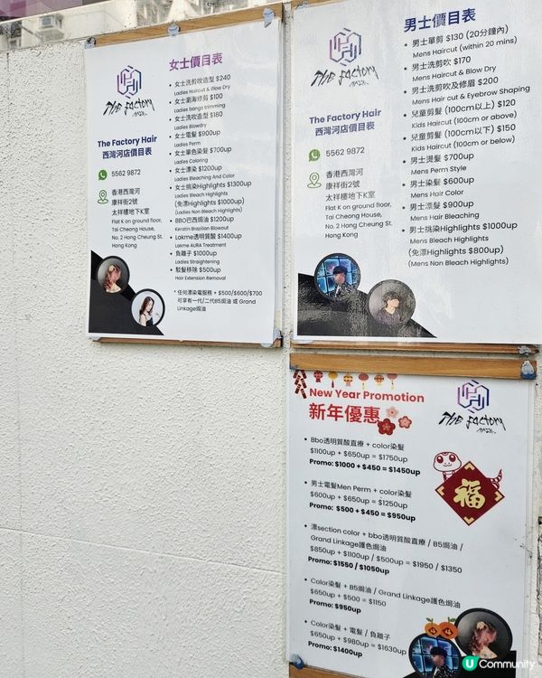  聖誕變髮大作戰！💇‍♀️✨ 換新髮色迎接佳節！