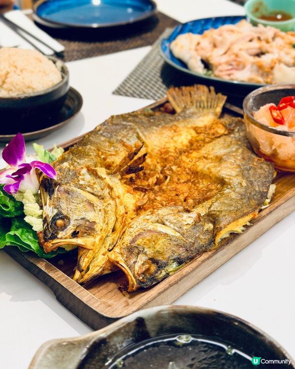 𓂃.𓈒金鐘𓎏ෆ.ᐟ上班族最愛泰式飯堂𓈒𓂃.