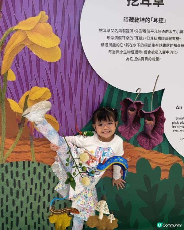 #召喚生物迷📣 ｢怪奇百態｣怪奇生態創意展