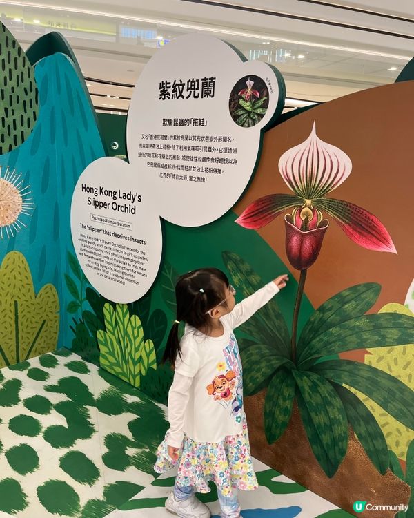 #召喚生物迷📣 ｢怪奇百態｣怪奇生態創意展