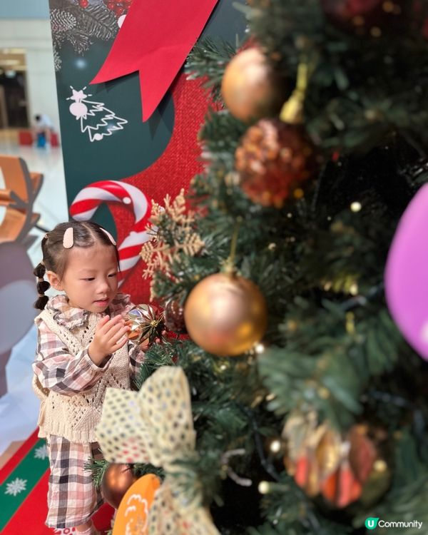 🐶｢萌犬Muck暖暖聖誕物語｣🎄