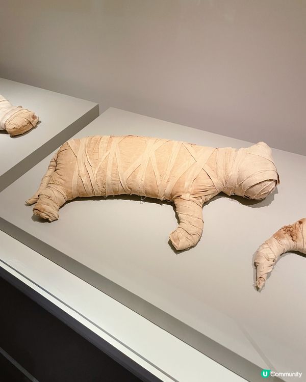 想揭開神秘嘅古埃及文明,探秘法老國度 ?💗 去逛逛香港故宮文...