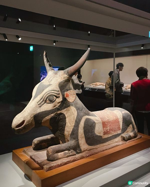 想揭開神秘嘅古埃及文明,探秘法老國度 ?💗 去逛逛香港故宮文...