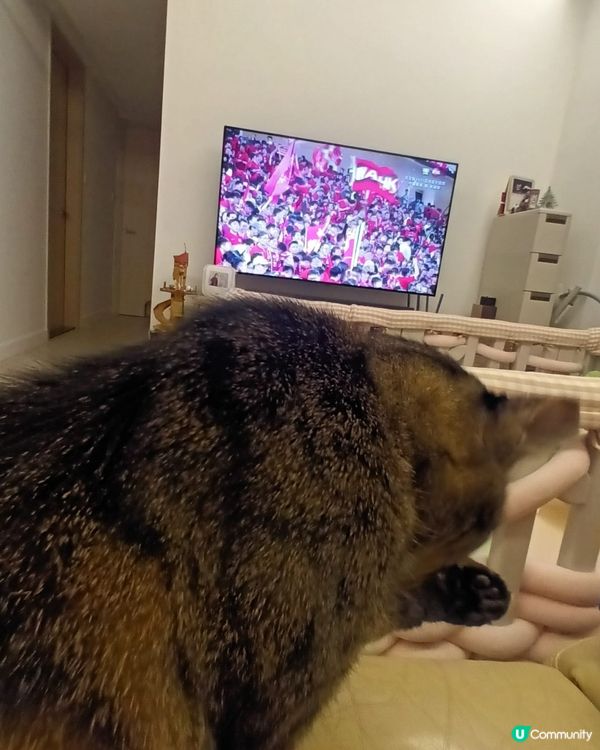 一年一度啤酒盛事