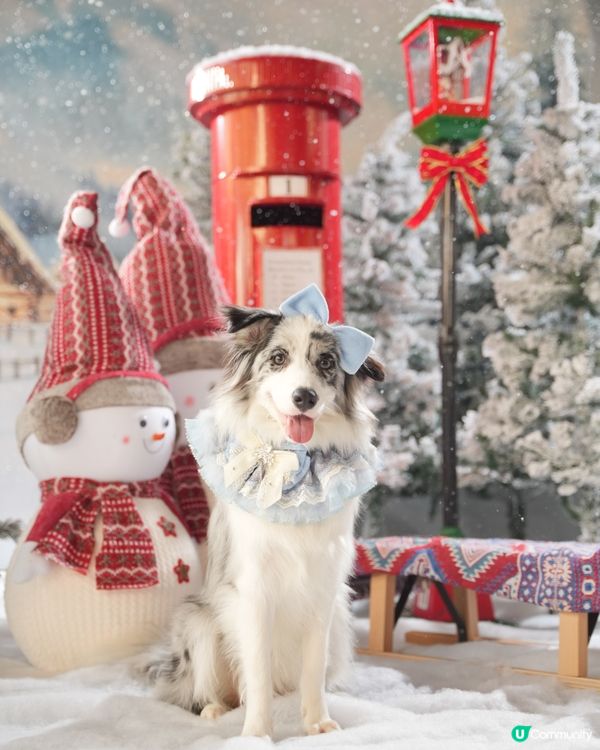 Moko第一輯聖誕攝影