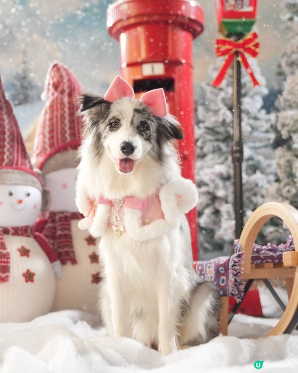 Moko第一輯聖誕攝影