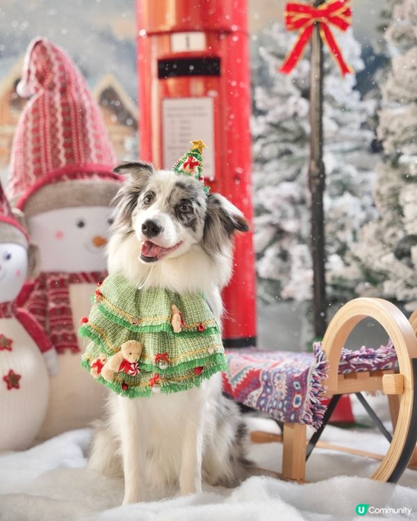 Moko第一輯聖誕攝影