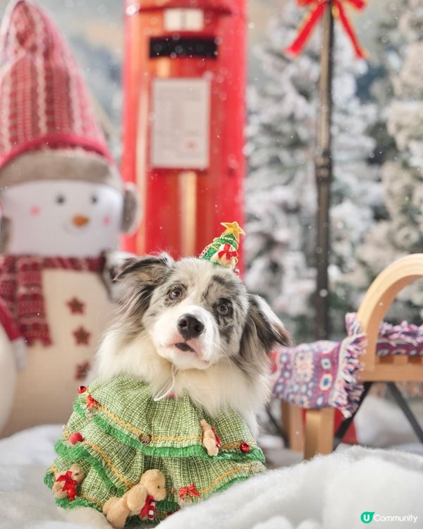 Moko第一輯聖誕攝影