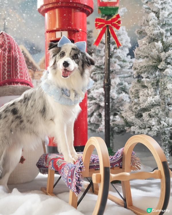 Moko第一輯聖誕攝影