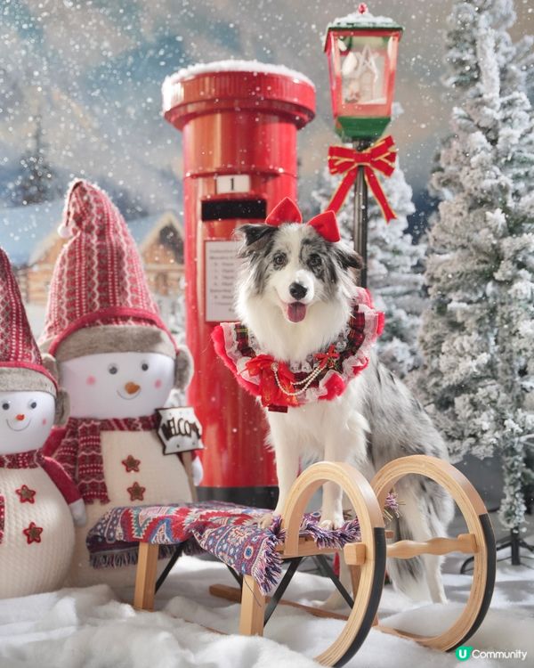 Moko第一輯聖誕攝影