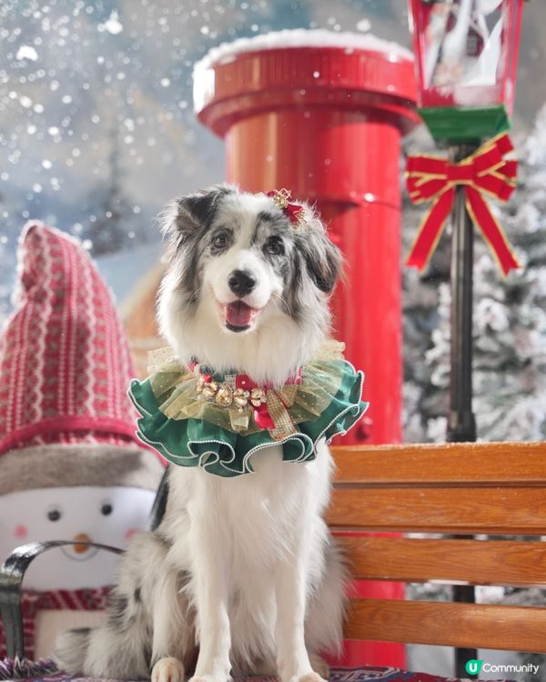 Moko第一輯聖誕攝影