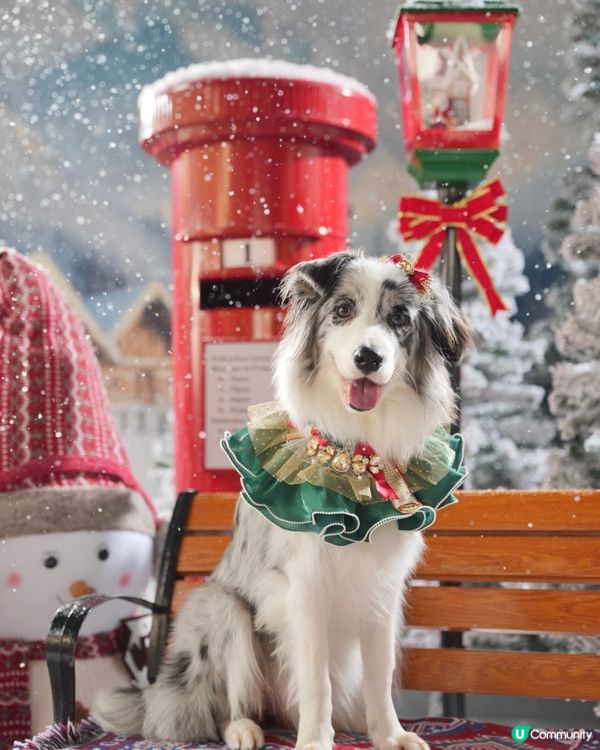 Moko第一輯聖誕攝影