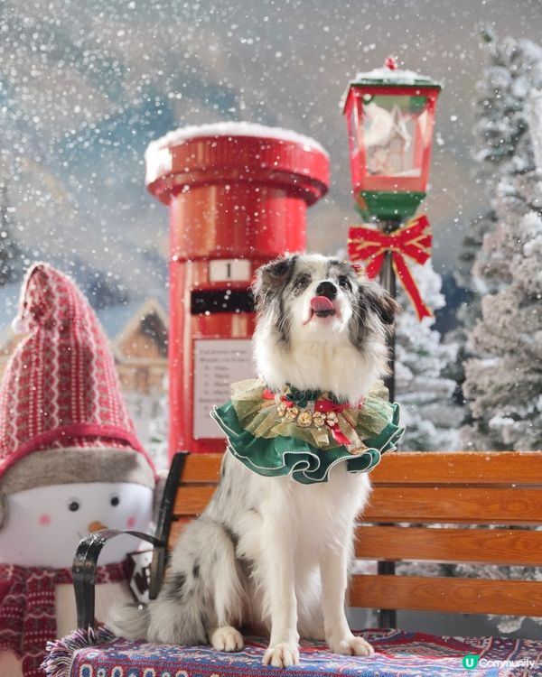 Moko第一輯聖誕攝影