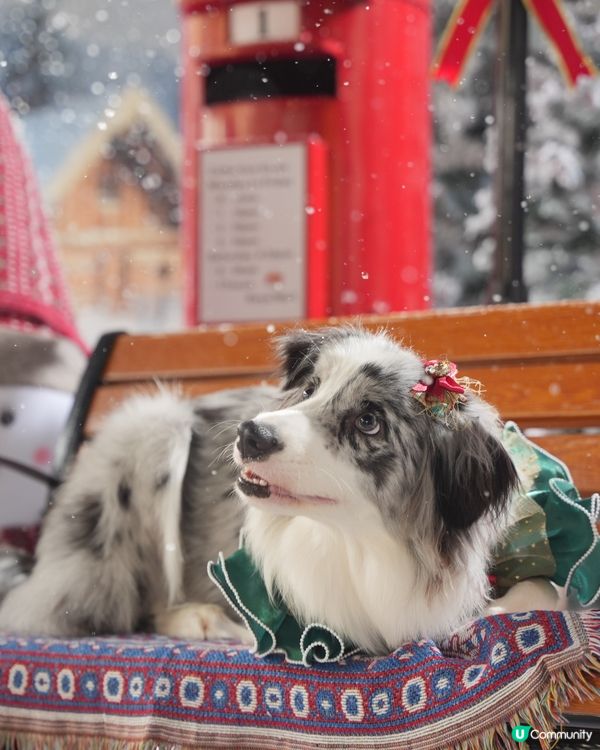 Moko第一輯聖誕攝影