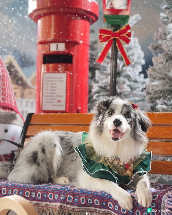 Moko第一輯聖誕攝影