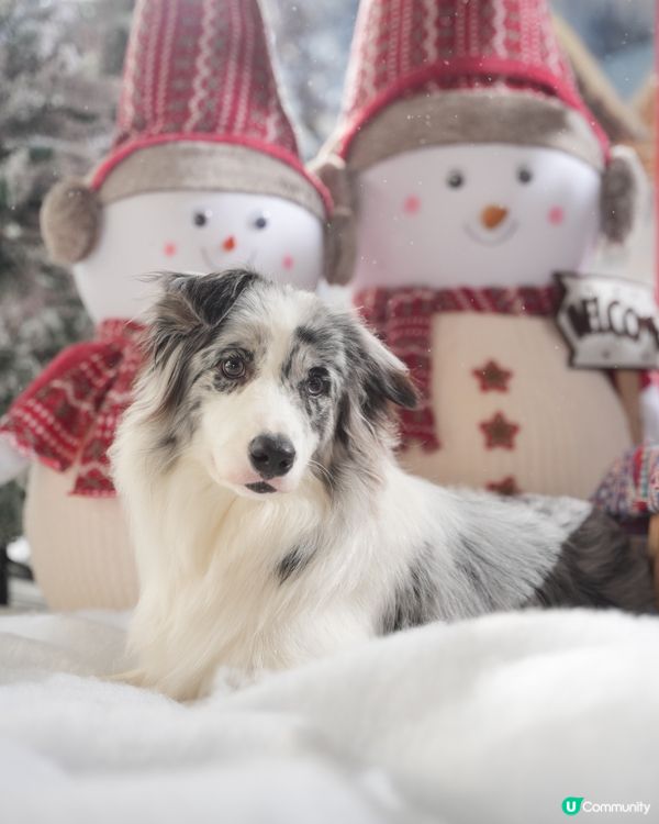 Moko第一輯聖誕攝影