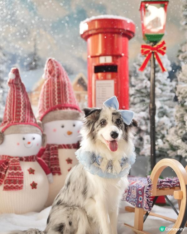 Moko第一輯聖誕攝影