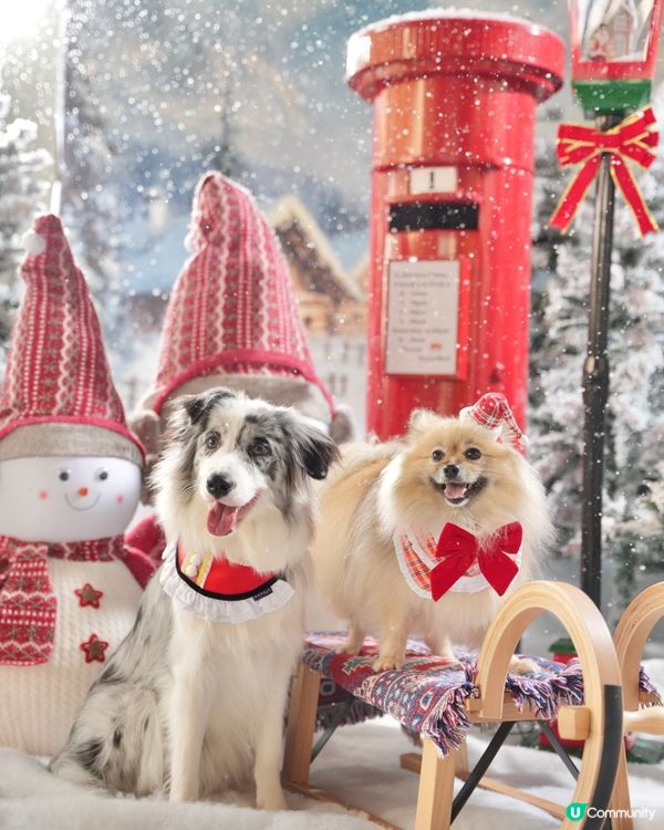 Moko第一輯聖誕攝影