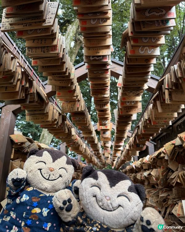 穿越川越冰川神社⛩️