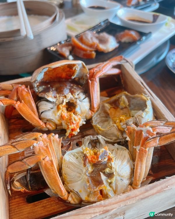 尖沙咀🦀羲和雅苑大閘蟹片皮鴨放題！90分鐘狂掃！🤤