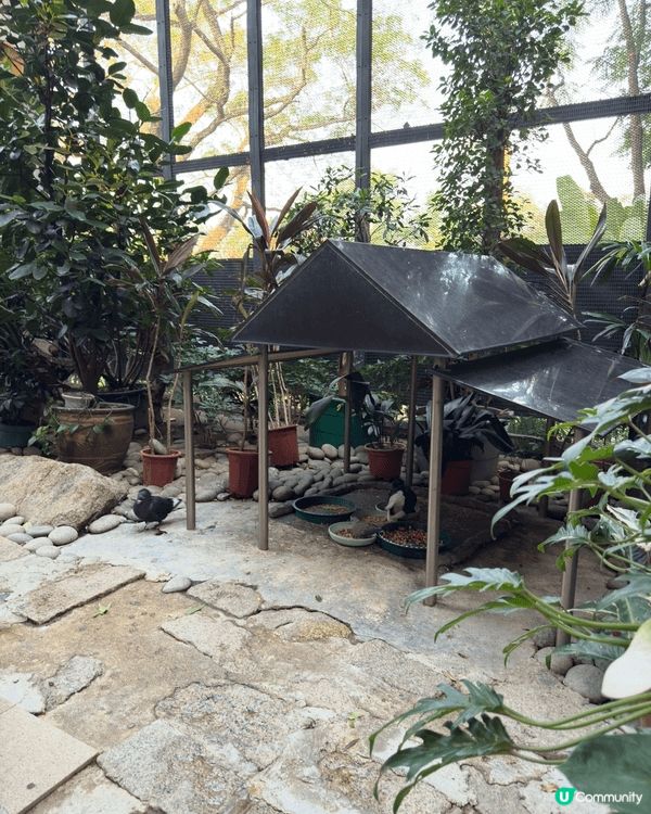 日常最鍾意親近動物，難得放假又喜歡去郊外行下。有效嘅消毒措施...