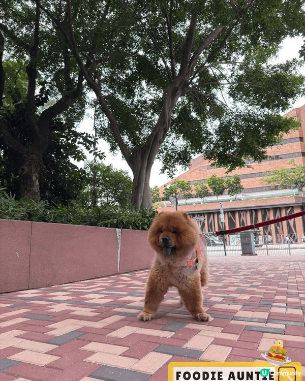 日常最鍾意親近動物，難得放假又喜歡去郊外行下。有效嘅消毒措施...