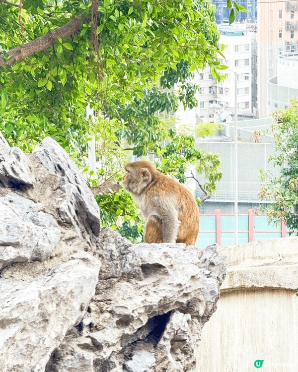 日常最鍾意親近動物，難得放假又喜歡去郊外行下。有效嘅消毒措施...