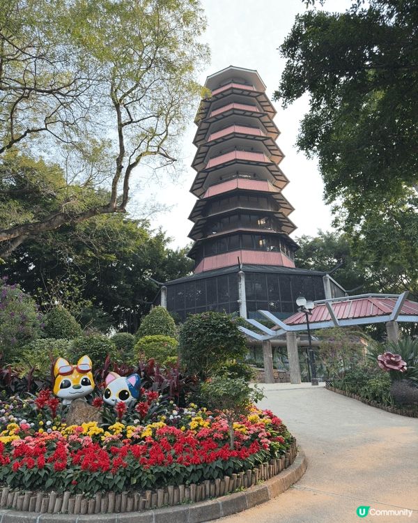 日常最鍾意親近動物，難得放假又喜歡去郊外行下。有效嘅消毒措施...