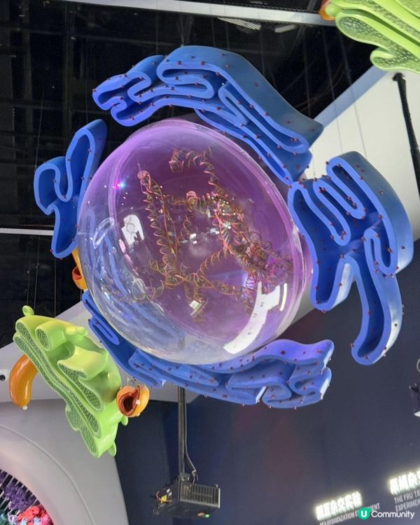 📍深圳必去🚀科技館半日遊✨