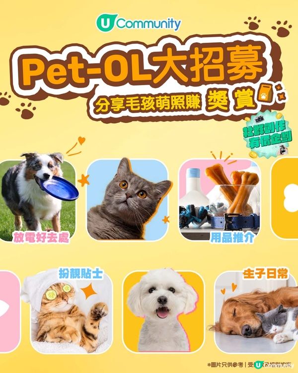  【限時再送】即食糖水2️⃣0️⃣0️⃣份！