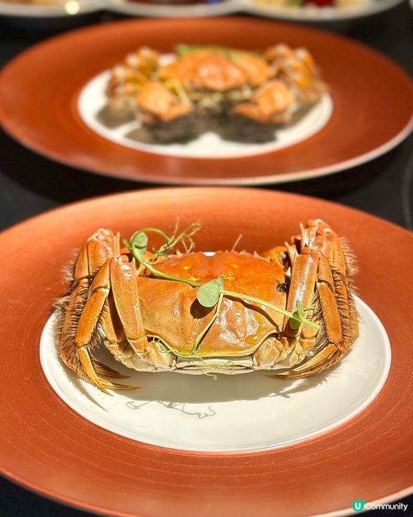 尖沙咀· 金秋大閘蟹饗宴