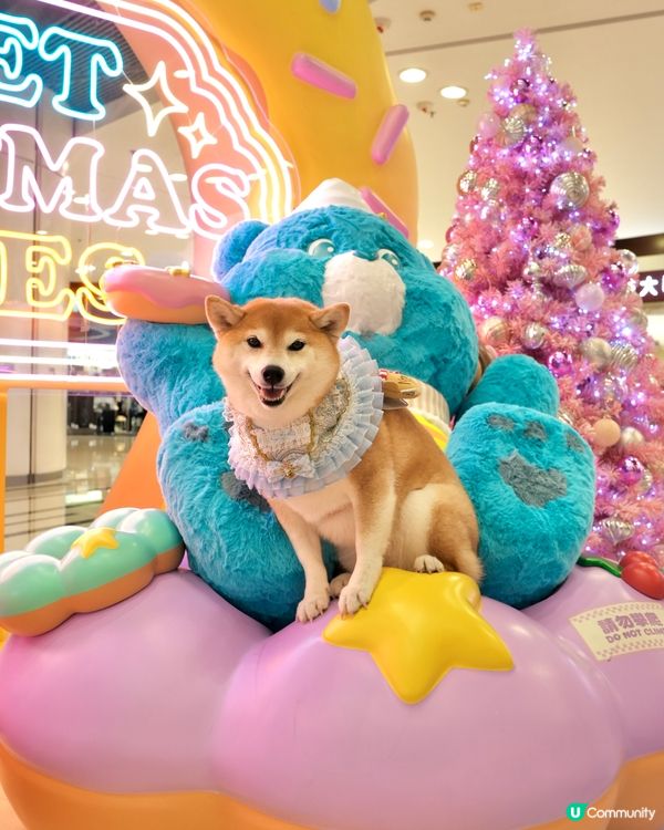 Care Bears聖誕甜蜜樂園🍬