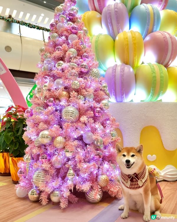 Care Bears聖誕甜蜜樂園🍬