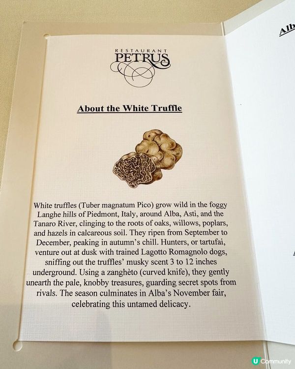 White Truffle Season ❤️ 白松露愛好者